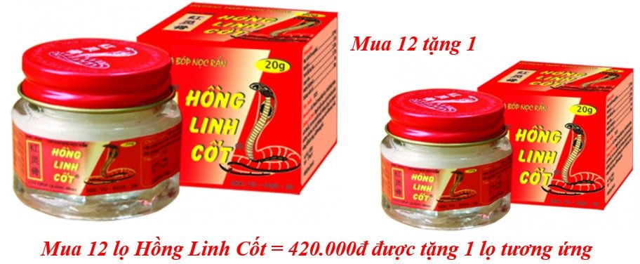 mua-12-lo-hong-linh-cot-420-000d-duoc-tang-1-lo-tuong-ung