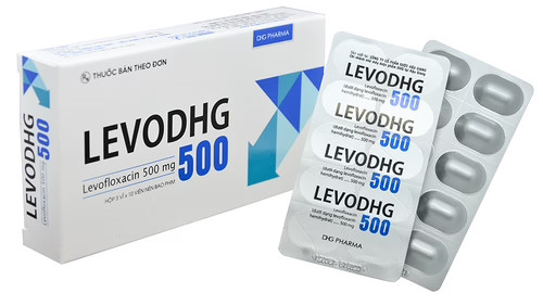 levodhg-levofloxacin-500mg-dhg-h-30v