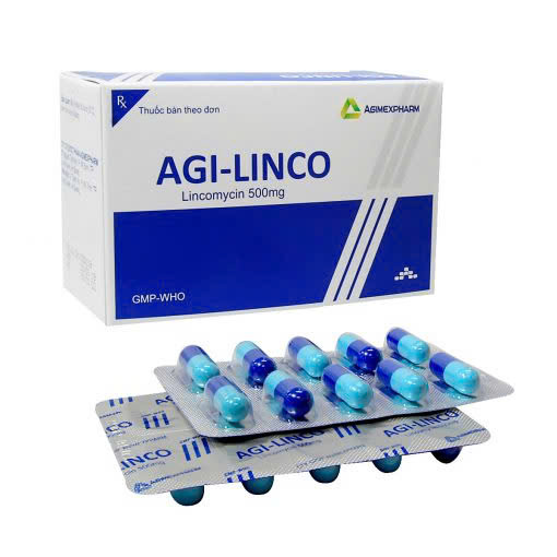 agi-linco-lincomycin-500mg-agimexpharm-h-100v