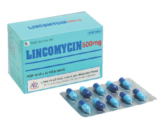 lincomycin-500mg-mekophar-h-100v