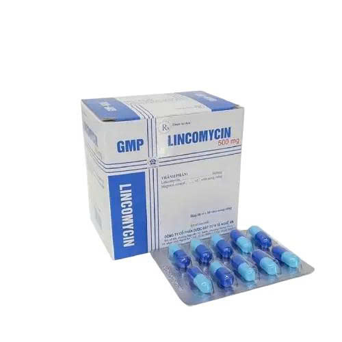 lincomycin-500mg-nghe-an-h-100v