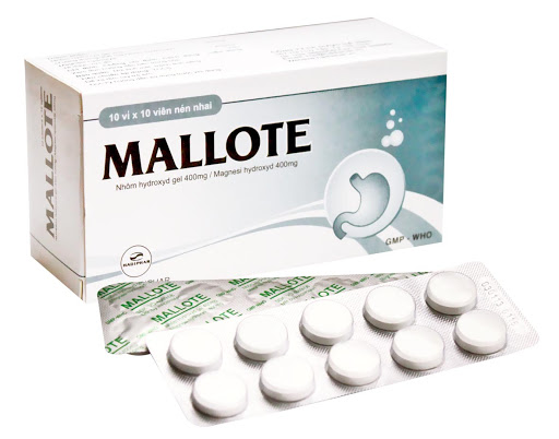 mallote-h-100v