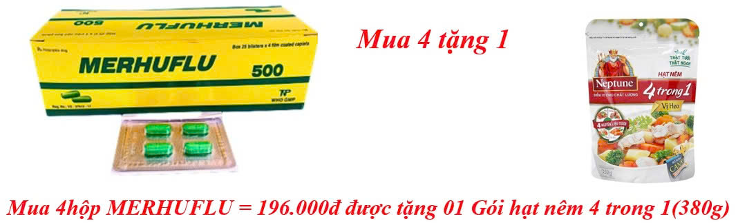 mua-4hop-merhuflu-196-000d-duoc-tang-01-goi-hat-nem-4-trong-1-380g