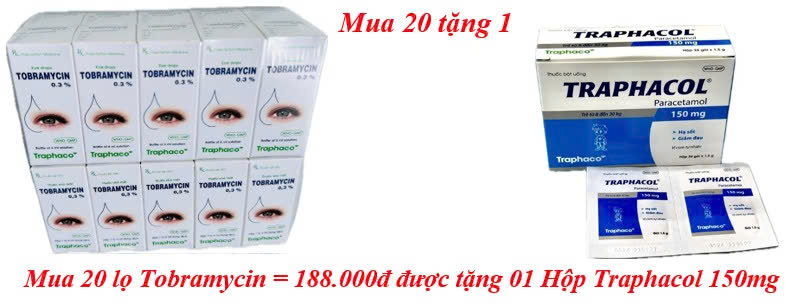 mua-20-lo-tobramycin-188-000d-duoc-tang-01-hop-traphacol-150mg