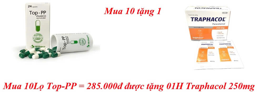 mua-10lo-top-pp-285-000d-duoc-tang-01h-traphacol-250mg