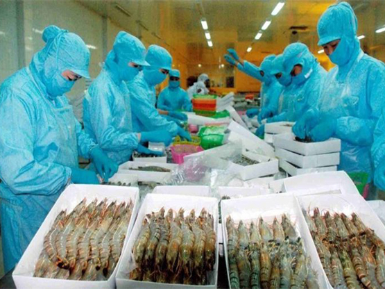 Xuất khẩu tôm sang EU tiếp tục tăng tốc từ nay đến cuối năm