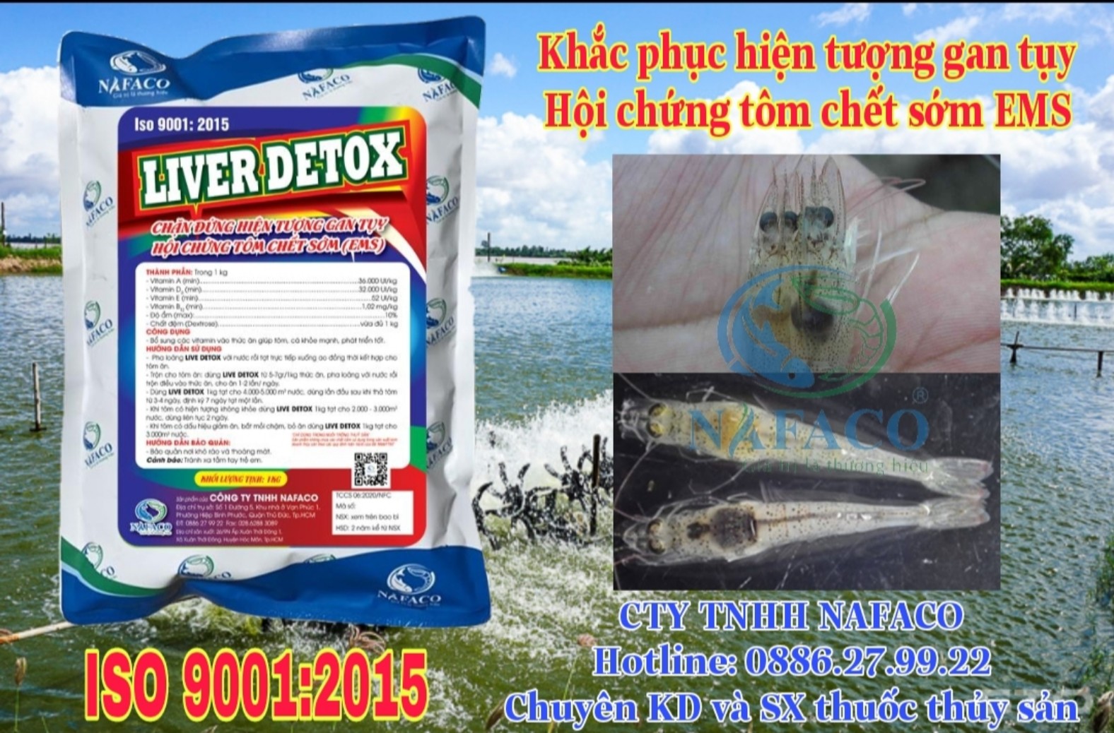 Cách phòng các bệnh về gan tụy trên tôm thẻ chân trắng