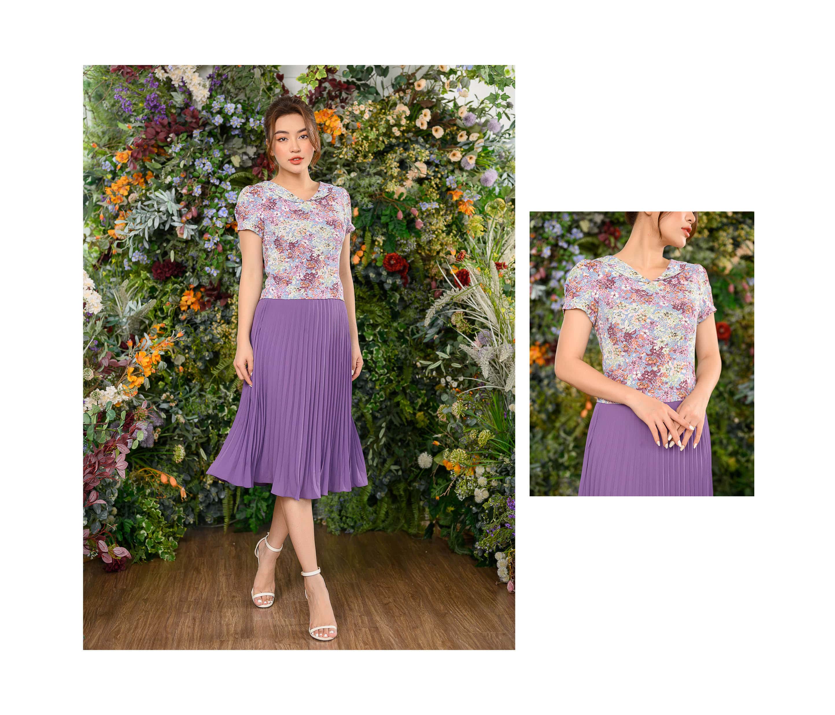 Chân rẻ quạt màu tím