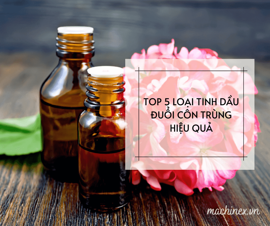 5 Loại tinh dầu đuổi côn trùng hiệu quả