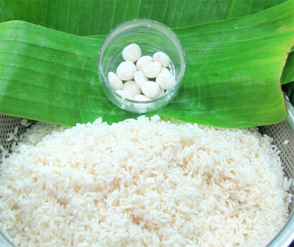 Công thức làm rượu nếp trắng thơm ngon bằng tủ nấu cơm bằng điện