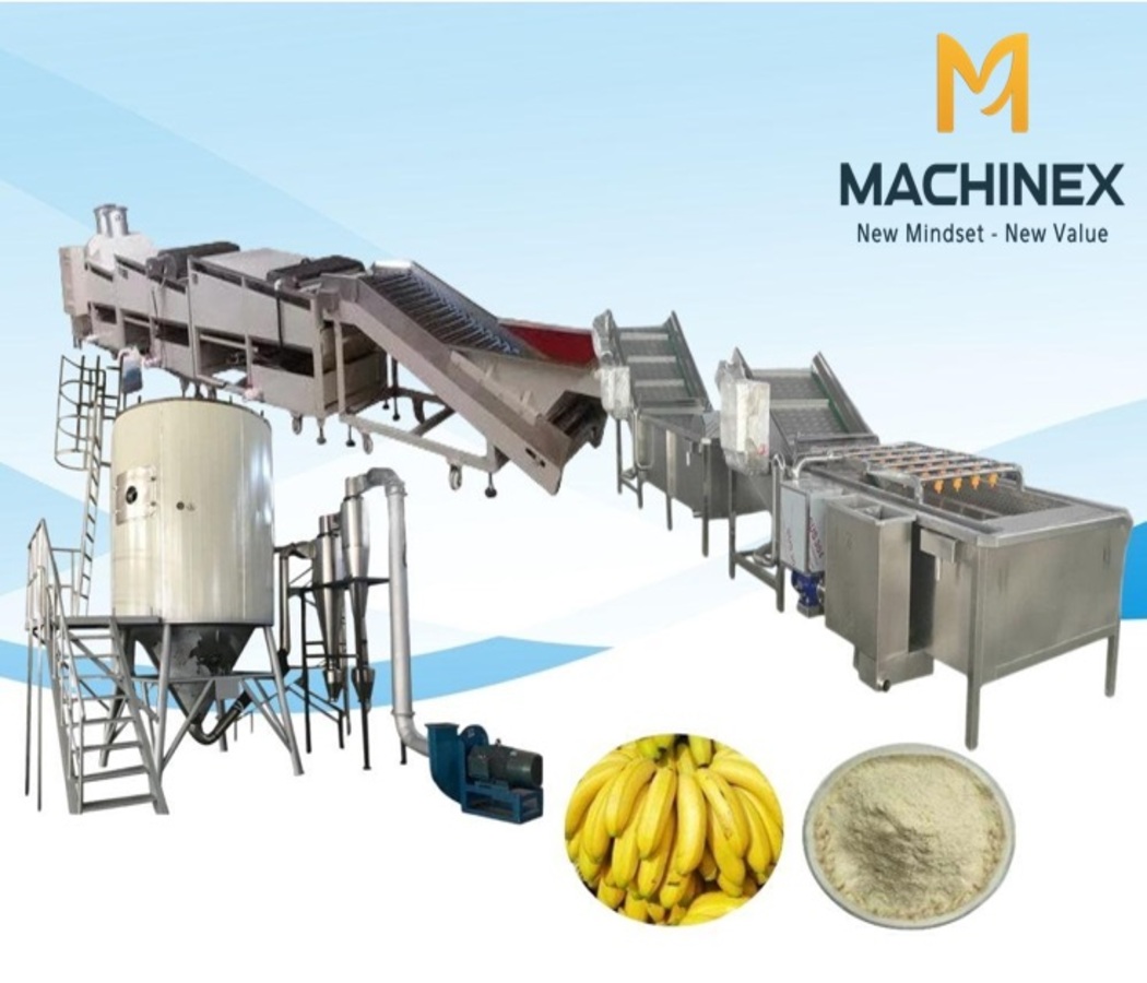 Xu Hướng Sản Xuất Bột Chuối Tại Việt Nam Trong Năm 2026