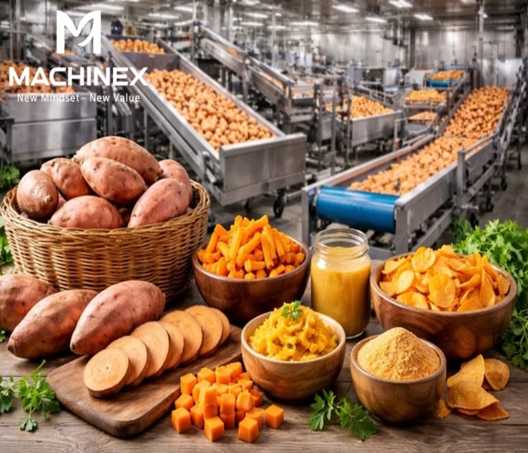 Bí Quyết Giữ Màu Sắc Và Độ Dẻo Tự Nhiên Cho Khoai Lang Sấy – Giải Pháp Công Nghệ Hiện Đại Từ Machinex Việt Nam