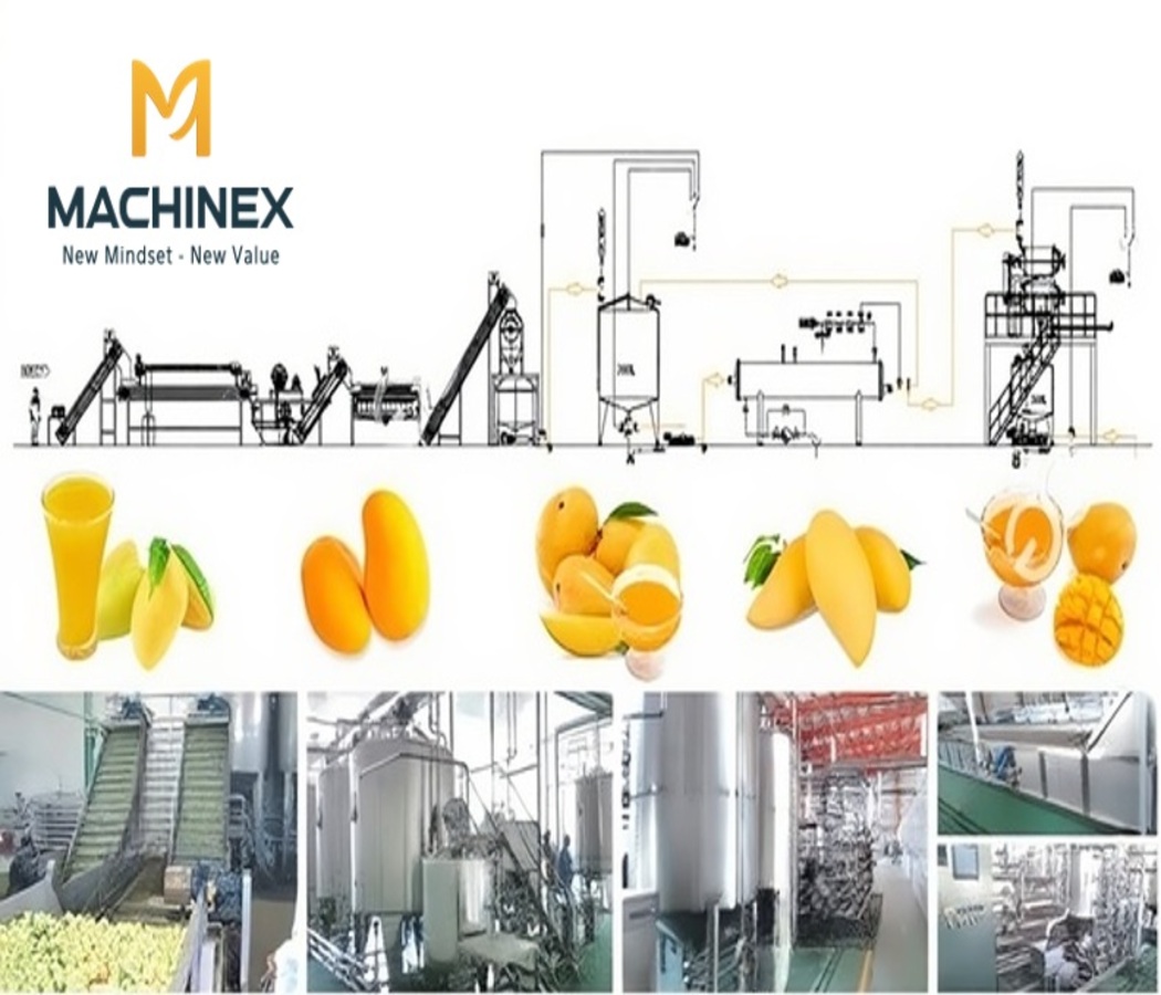 Dây Chuyền Sản Xuất Nước Ép Xoài Machinex Việt Nam Có Gì Nổi Bật?