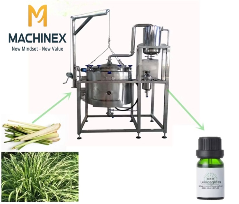 Hướng dẫn chưng cất tinh dầu sả tại nhà