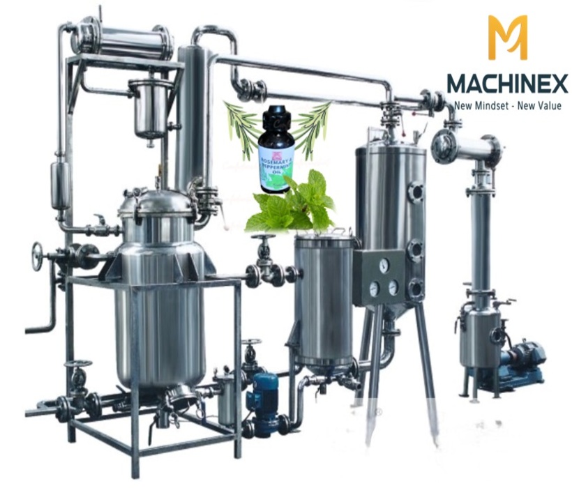 Hướng dẫn chưng cất tinh dầu bạc hà tại nhà