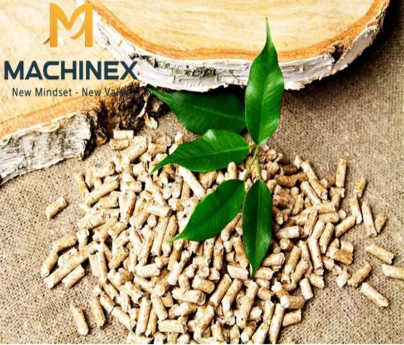 Vì sao không nên ép viên nén gỗ từ mùn cưa chưa sấy?