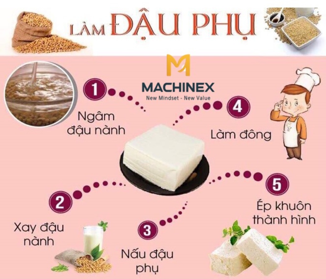 Tìm Hiểu Quy Trình Sản Xuất Đậu Hũ Chi Tiết Từ Đậu Nành Đến Thành Phẩm