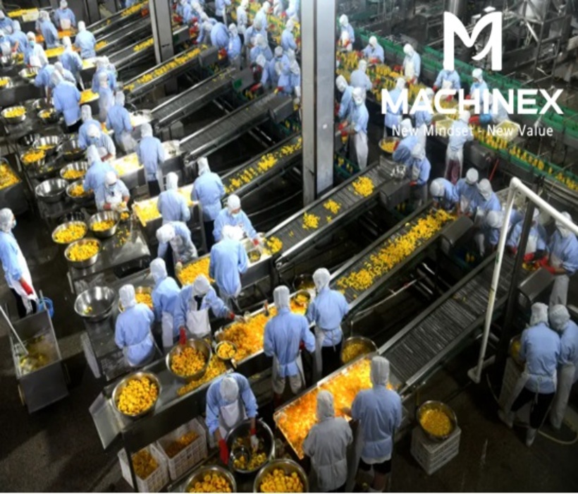 Vai trò của nước siro trong quá trình bảo quản dây chuyền thơm, xoài đóng hộp