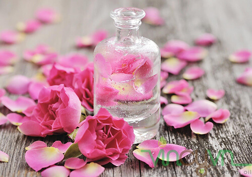 Mách bạn cách chưng cất tinh dầu hoa hồng dễ dàng tại nhà