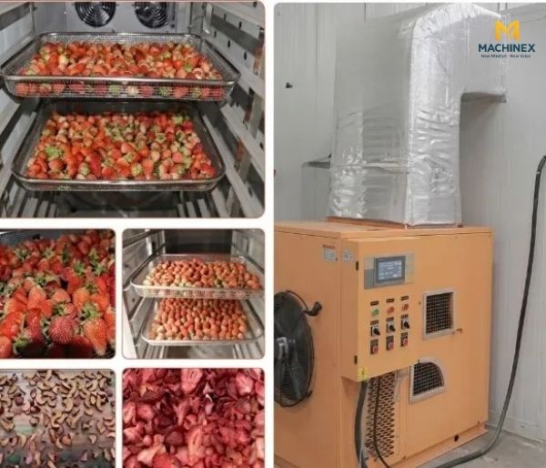 Hướng Dẫn Chọn Công Suất Buồng Sấy Công Nghiệp Cho Nhà Máy