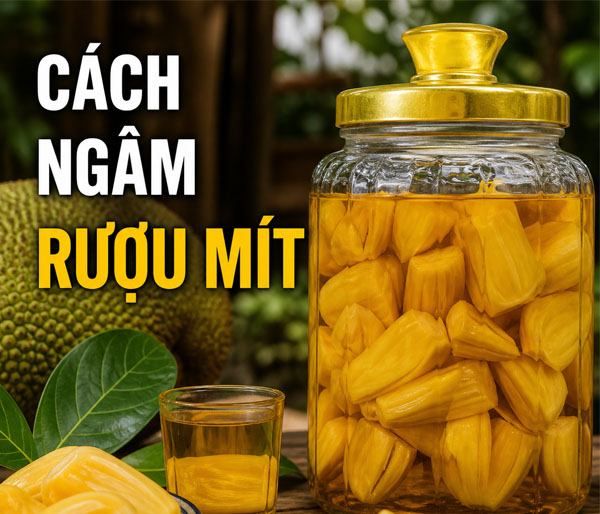 Cách ngâm rượu mít