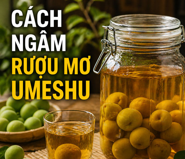 Cách ngâm rượu mơ umeshu Nhật Bản