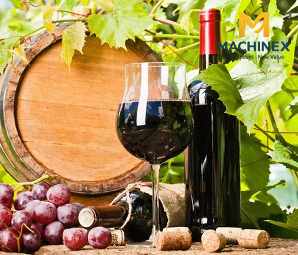 Chi tiết qui trình sản xuất rượu vang