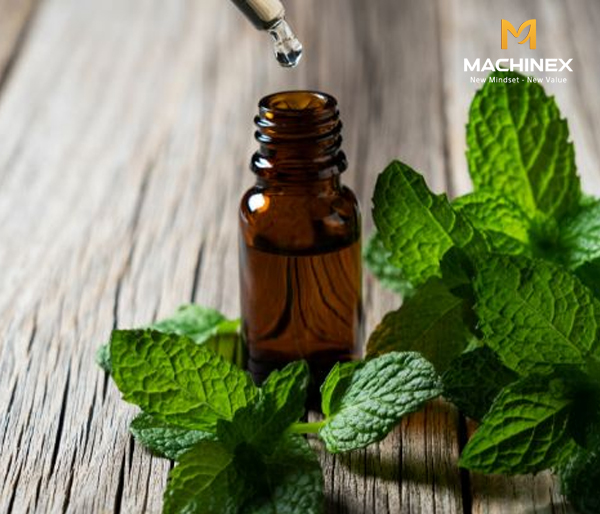 Có cách nào để làm tinh dầu bạc hà giữ mùi mát lâu hơn khi bảo quản?