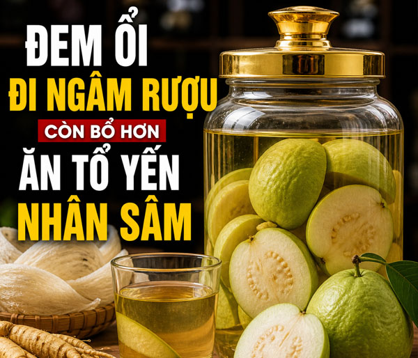 Công thức ngâm rượu ổi và công dụng thần kỳ của nó