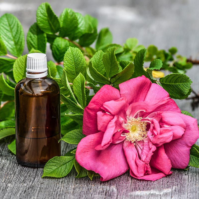 Bất ngờ với công dụng của tinh dầu hoa hồng