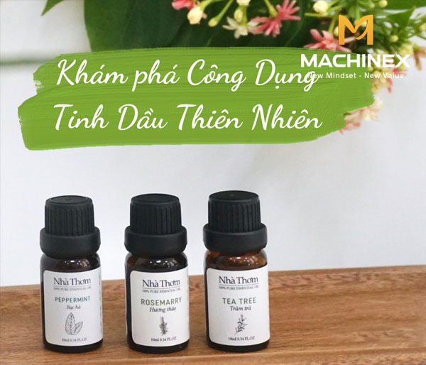 Công dụng Top 30 loại tinh dầu từ thiên nhiên