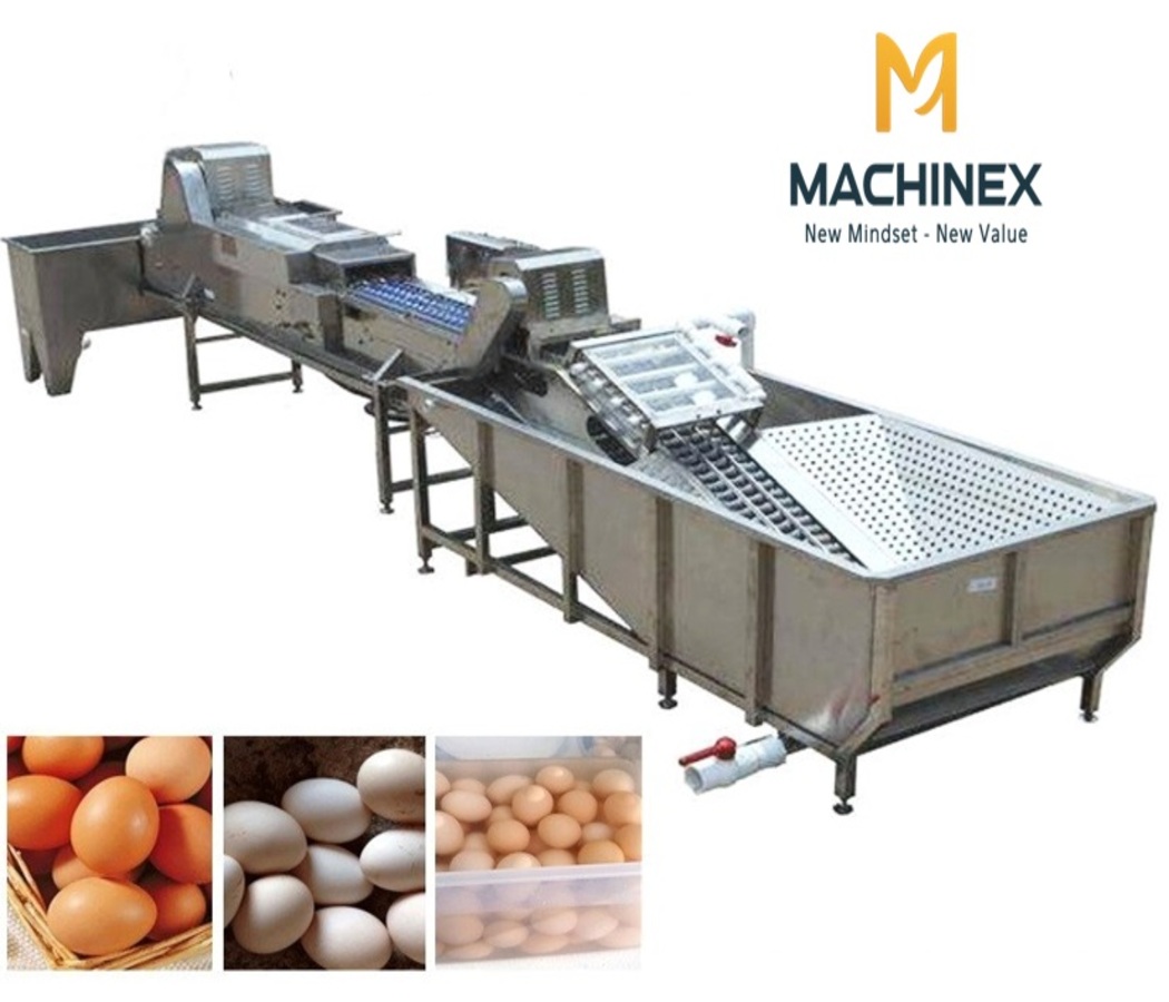 Máy Rửa Và Phân Loại Trứng Gà Machinex Việt Nam Có Gì Nổi Bật?