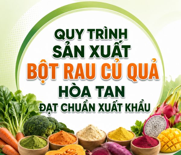 Quy Trình Sản Xuất Bột Rau Củ Quả Hòa Tan Đạt Chuẩn Xuất Khẩu