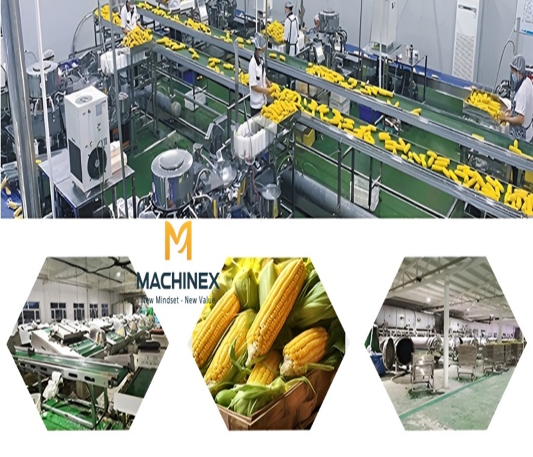Đầu Tư Dây Chuyền Sản Xuất Sữa Bắp Có Thực Sự Hiệu Quả?