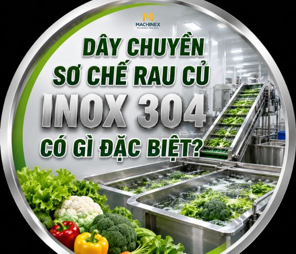 Dây Chuyền Rau Củ Quả Inox 304 Có Gì Đặc Biệt?