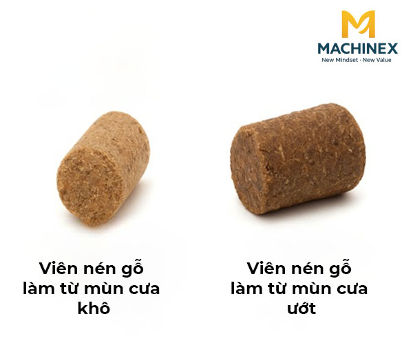 Độ ẩm của nguyên liệu gỗ ảnh hưởng thế nào đến chất lượng viên nén?