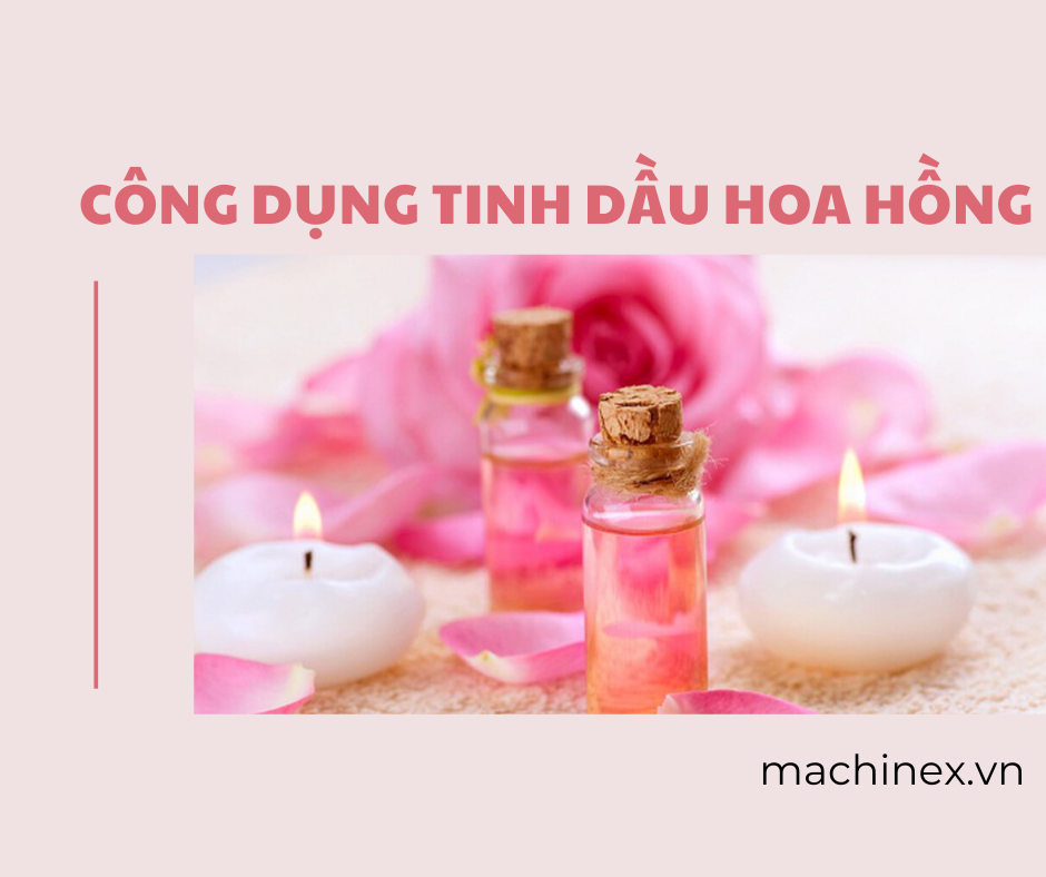 Bất ngờ với công dụng của tinh dầu hoa hồng