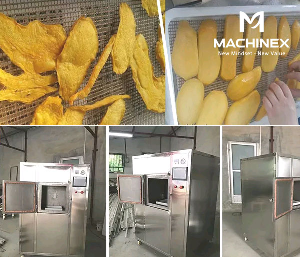 Hàm lượng dinh dưỡng bị ảnh hưởng khi sấy vi sóng?