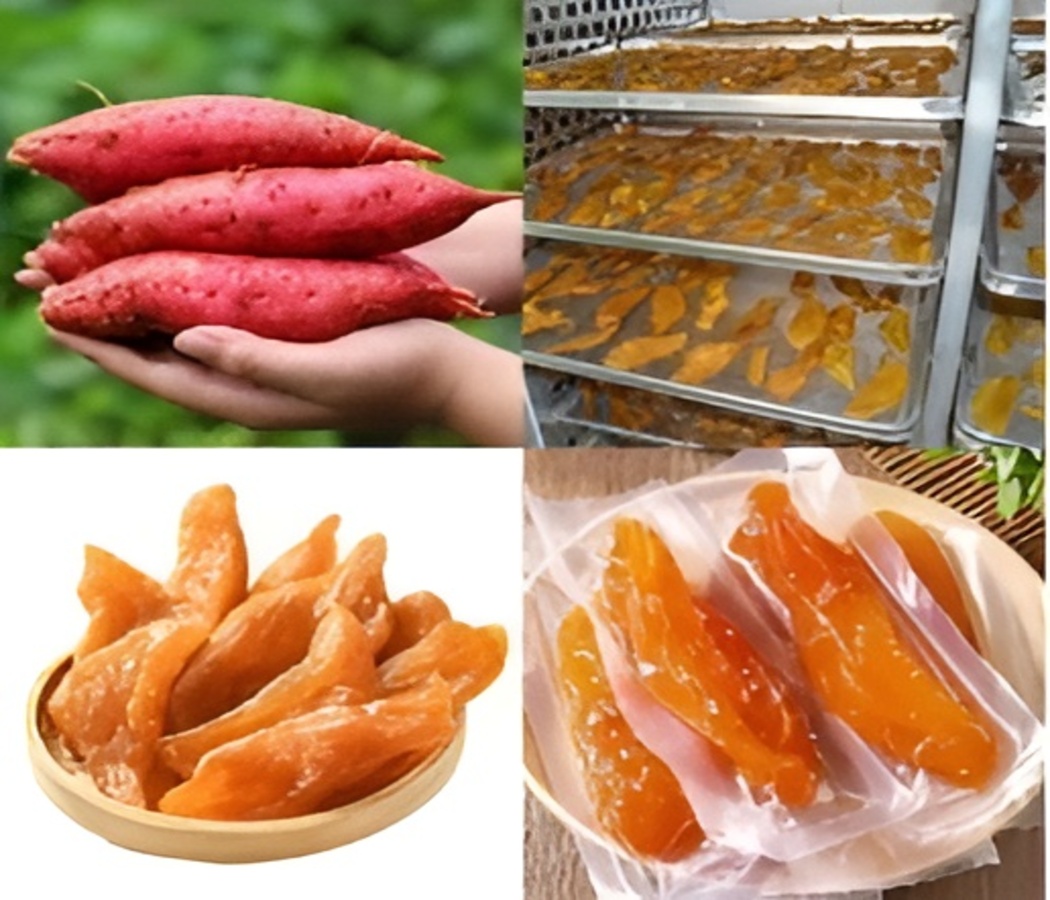 bật mí quy trình sản xuất khoai lang sấy dẻo thơm ngon, chất lượng