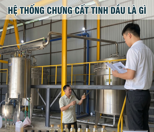 Hệ thống chưng cất tinh dầu là gì?