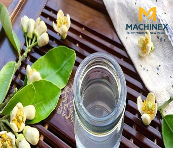 Hướng dẫn chưng cất tinh dầu Sả, Cam, Bưởi, Tràm, Bạc Hà... tại nhà