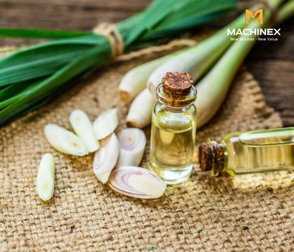 Hướng dẫn chưng cất tinh dầu sả tại nhà thơm, tinh khiết 100%