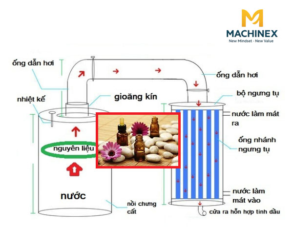Khác biệt chưng cất xá xị tại nhà và công nghiệp? Bạn đã hiểu đúng