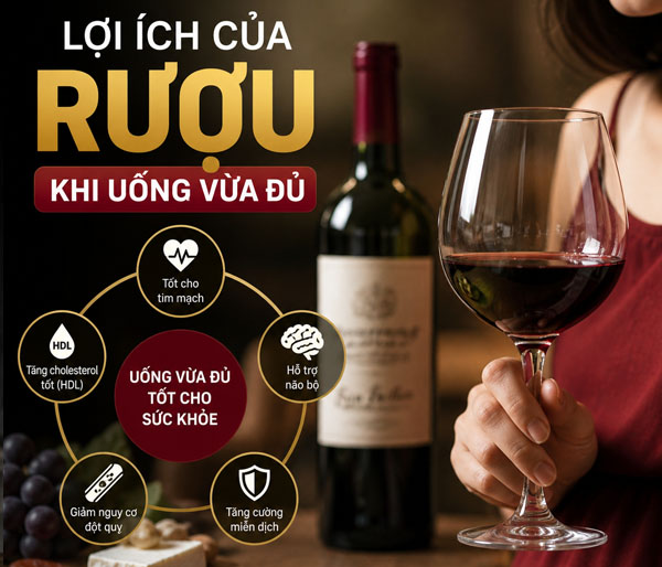Lợi ích của rượu khi uống vừa đủ
