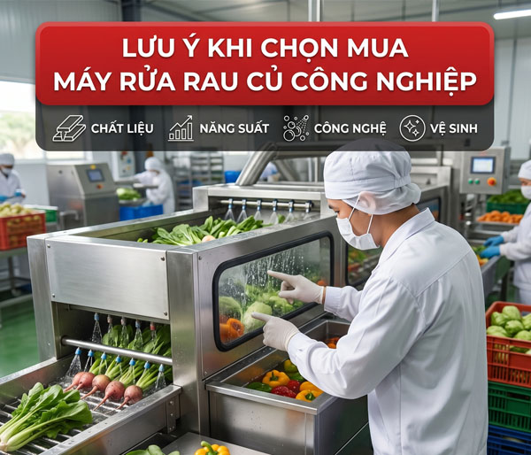 Lưu ý khi chọn mua máy rửa rau củ công nghiệp