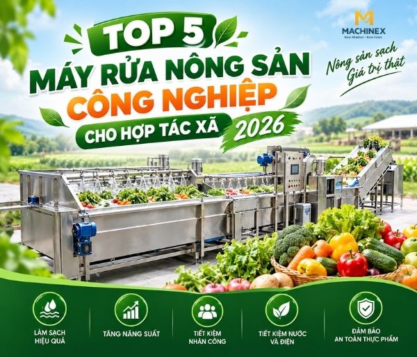 Top 5 Máy Rửa Nông Sản Công Nghiệp Cho Hợp Tác Xã 2026