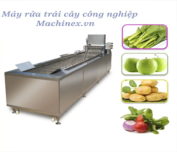 Máy rửa thực phẩm công nghiệp