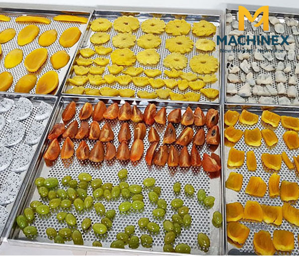 Sử dụng máy sấy hoa quả công nghiệp