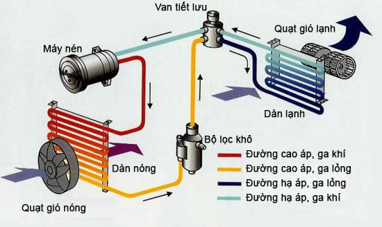 Máy sấy thực phẩm công nghiệp - Sự khác nhau giữa máy sấy nóng và máy sấy lạnh