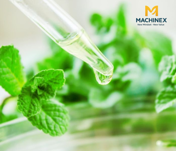 Ngửi tinh dầu bạc hà có biết chất lượng? Cách làm đơn giản